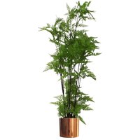 150cm Artificial Natural Extra Large Fern Foliage Plant with Copper Metal Plater