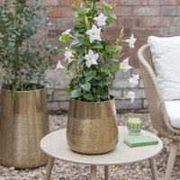 Ivyline Set of 2 Prescot Plant Pots