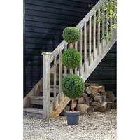 Smart Garden Trio Topiary Tree, 150Cm