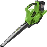 Greenworks GD24X2BV 48v Cordless Leaf Blower and Vacuum 2 x 4ah Li-ion Charger