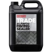 Resiblock Trade Clear      171757 25Ltr