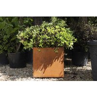 Corten Steel Cube Planter - 300mm x 300mm x 300mm